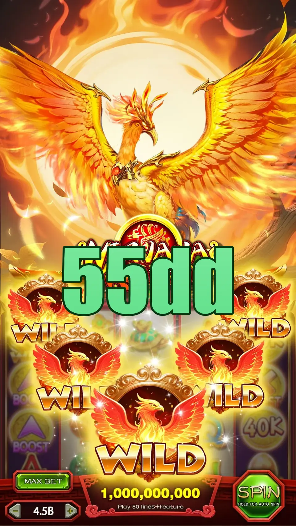 55dd Login