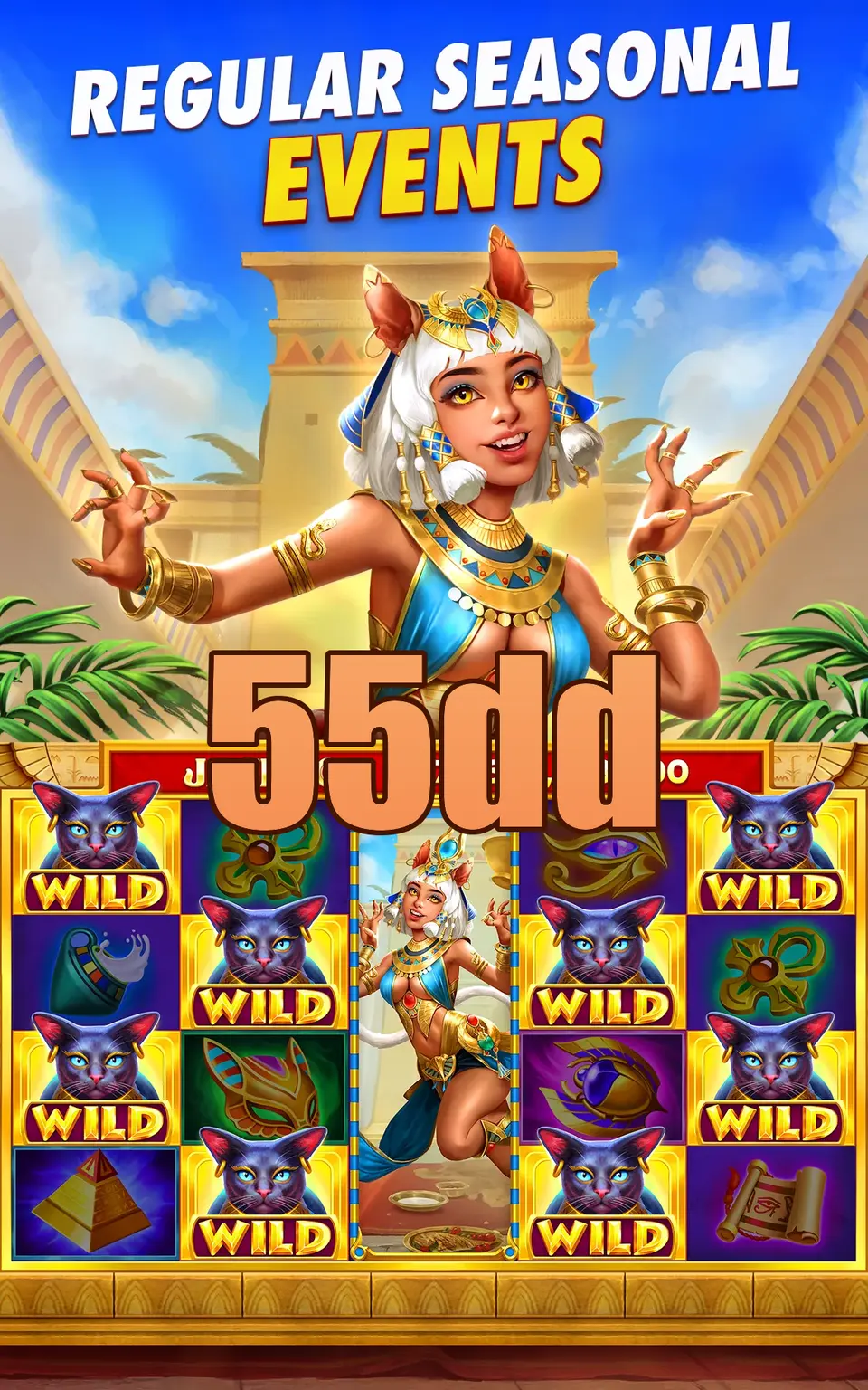 55dd Login